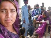 آنسو کوہلی