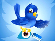 براہ راست وڈیوز دکھائیں