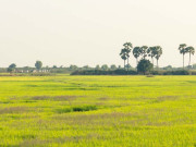 مندرکی تعمیرکے لیے مسلمانوں نے زمین عطیہ کردی