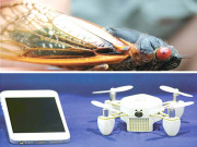 سِکاڈا ڈرون ’’مشینی ٹڈے‘‘ فضا سے دشمن کی فوج پر گرائے جائیں گے