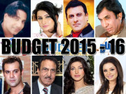  بجٹ حکومت نے عوام کے مسائل مزید بڑھادیے فنکار