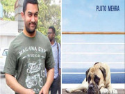 عامر خان نے ’’دل دھڑکنے دو‘‘ میں کتے پلوٹوکواپنی آوازدی