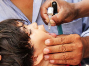 راولپنڈی میں موجودہ سال پولیوکا کوئی کیس سامنے نہیں آیا