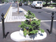 محض 2 میٹر رقبے پر محیط دنیا کا سب سے چھوٹا پارک