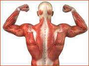 heat cramps پٹھوں میں کھنچاؤ اوردرد کا مسئلہ