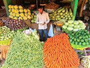 زرعی شعبے کوجولائی تامئی4398 ارب روپے کے قرضے جاری