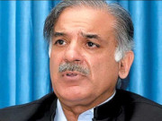 وزیراعلیٰ پنجاب اورچینی کمپنی کا قائداعظم سولر پارک منصوبے پرکام تیز کرنے پراتفاق
