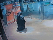 متحدہ عرب امارات میں امریکی خاتون ٹیچر کو قتل کرنے والی مجرمہ کو پھانسی