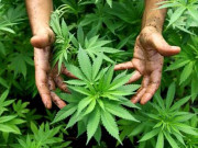 اب بھنگئی کہلانا باعث فخر ہو گا