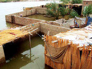 بارشوں اور سیلاب کی تباہ کاریوں میں مسلسل اضافہ