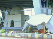 خانہ بدوشوں نے فلائی اوورز کے نیچے ڈیرے ڈال دیے