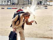 جارح مزاج سمندری بگلے مصیبت بن گئے