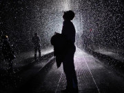 ضمیر کی آخری چیخ