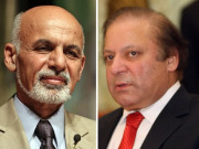 افغان امن مذاکرات تعطل ختم کیا جائے