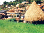 کڈنی ویلی جہاں ایک بھی بالغ فرد ایسا نہیں جس کے دونوں گردے موجود ہوں