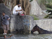 مصرمیں گرمی کی لہر سے 3 دن میں 61 افراد ہلاک
