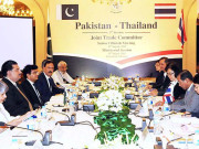 آزاد تجارتی معاہدہ پاک تھائی مذاکرات آئندہ ماہ شروع ہوں گے