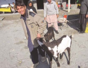ذی الحج 