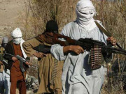 افغان فورسز کے آپریشن میں 200 طالبان ہلاک 200 نے ہتھیار ڈال دیئے