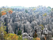 چین میں ایک لاکھ ایکڑپرمحیط پتھروں کاجنگل