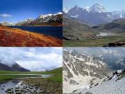 جنگل میں منگل تیرے ہی دم سے ہے