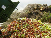 دنیا بھر میں سالانہ 400  ارب ڈالر کا کھانا ضائع ہوتا ہے رپورٹ