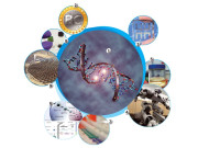 ٹیکنالوجیز  جو دنیا بدل دیں گی   