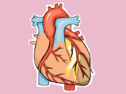 کولیسٹرول کو کیسے کم کیا جائے     