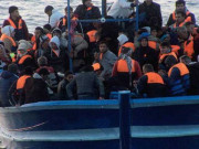 پناہ گزینی تاریخ کا سنگین بحران