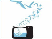 میڈیا ریٹنگ کی کھوکھلی بنیادیں