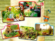 پودے ہی پودے پھول ہی پھول