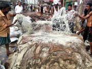 کراچی میں 2 لاکھ کھالیں خراب ہونے کے باعث لیدر انڈسٹری کو 30 کروڑ کا نقصان