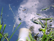 ڈنمارک کی کمپنیوں کی گندے پانی سے بجلی پیداکرنے میں دلچسپی