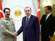 دہشت گردی اور مسلم ممالک