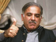 خادم اعلی کی مصروفیت کا احوال