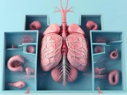 انسان کے اندرونی جسم کے وہ 10 اعضا جس کے بغیر بھی انسان زندہ رہ سکتا ہے