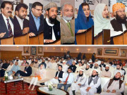 پولیو کیسز میں 84 فیصد کمی ہوئی2016تک خاتمہ ہو جائے گا سائرہ افضل تارڑ