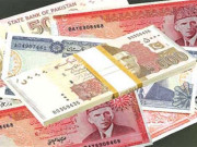 موجودہ حکومت کے دور میں مقامی قرضے 3270 ارب روپے بڑھ گئے