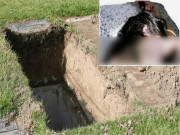 بھارت کا ایک اوربھیانک چہرہ سامنے آ گیا مسلمان خاتون کی لاش قبر سے نکال کر اجتماعی زیادتی