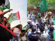 پنجاب میں ن لیگ اور سندھ میں پیپلزپارٹی نے میدان مارلیا بدین سے پی پی کا صفایا