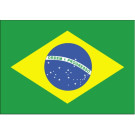 پاکستانی نجی شعبہ تجارتی مواقع سے فائدہ اٹھائے برازیلی سفیر 