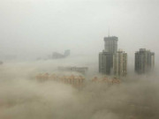 ماحولیاتی آلودگی پر قابو پانے کی کوششیں