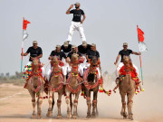 پاکستان کا اونٹ سوارفوجی بینڈ ڈیزرٹ رینجرزکے لیے باعث فخرروایتی حریف بھارت پربرتری