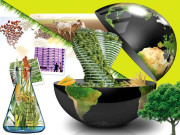 زراعت کا مستقبل