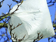 کپڑے دھونے سے بھی فضائی آلودگی بڑھ رہی ہے