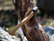 کاغذ کے حصول کیلیے درختوں کی کٹائی ماحول کیلیے خطرہ بن گئی