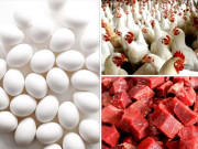 افزائش نشل والی زندہ مرغی اور فیڈ کے خام مال پر ڈیوٹی سے چکن کا گوشت اور انڈے مہنگے ہونے کا خدشہ