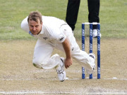 نیل ویگنر کی 100میل کی رفتار سے گیند پرندے کو وجہ قرار دیا جانے لگا