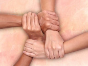 برابری پر مبنی انسانی حقوق کا عالمی منشور خود عدم مساوات کا شکار