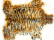 پاکستان سے شیرومگرمچھ کی کھالیں بھی برآمدکی جاتی ہیں